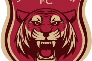 嘉定汇龙官方消息：截至上一轮比赛，在足协评议中，本队共有三次漏判点球的情况。