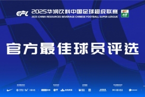 中超官方第28轮最佳球员候选：瓦科、萨里奇、恩里克、戴维森、亚戈