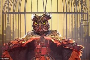 据《邮报》报道，阿尔德维雷雷德被曝疑似参加了比利时的“蒙面歌王”，但他本人并未对此予以否认。