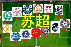 苏超成功实现跨领域突破，中国足球呈现出独特的繁荣景象。